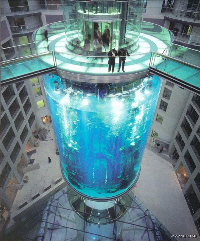 Самый большой в мире цилиндрический аквариум (18 фото)