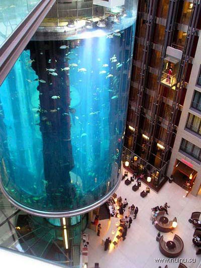 Самый большой в мире цилиндрический аквариум (18 фото)