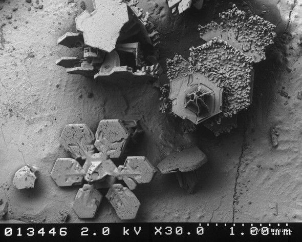 Как выглядят снежинки под микроскопом? (19 фото)
